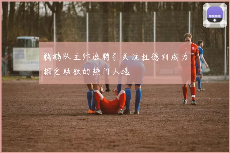 鹈鹕队主帅选聘引关注杜德利成为掘金助教的热门人选